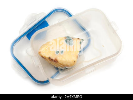 Eine Platte von verschimmelten Käse in einer Box aus Kunststoff, grün Pilzbefall. Stockfoto