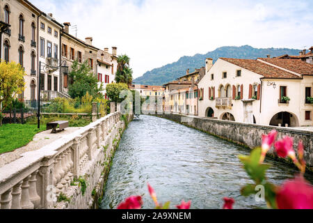 Panoramablick auf den Fluss und die Stadt Meschio von Serravalle, Teil von Vittorio Veneto in Italien mit roten Blumen im Vordergrund Stockfoto