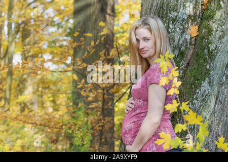 Seitliche Sicht auf die junge schwangere Frau, die ihre Schwangerschaft mit Bauch und Kamera. Horizontal. Stockfoto