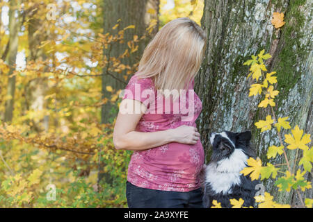 Junge schwangere Frau spielt sie mit ihrem Hund im Park. Stockfoto