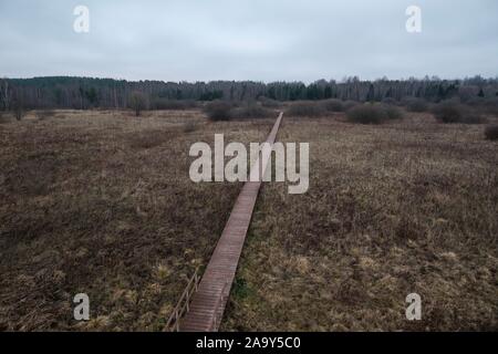 Panoramablick auf Herbst Feld mit verdorrten Gras und Holz- Pfad, die Landschaft an einem bewölkten Tag in der Mitte der Zone von Russland Stockfoto