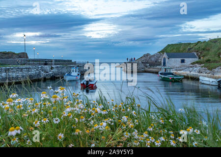 Ballintoy Harbour Marina in Nordirland Stockfoto