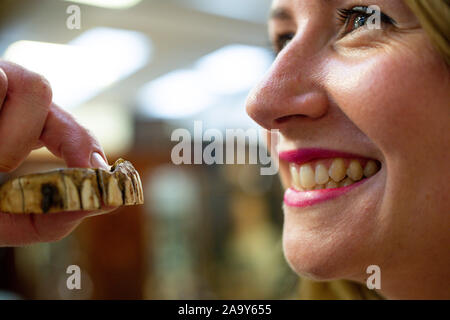 Isabel Murtough, einem Schätzer an Hansons Auktionatoren in Derbsyhire, mit einem 200 Jahre alten Satz von falsche Zähne, von denen erwartet wird, dass sie für bis zu £ 7.000 an der Auktion am 25. November zu verkaufen. PA-Foto. Bild Datum: Montag, November 18, 2019. Die Zähne waren von einem buckinghamshire Mann entdeckt, während aus Metall - Erkennung und sind aus Gold gemacht und möglicherweise hippo Elfenbein. Photo Credit: Jacob König/PA-Kabel Stockfoto