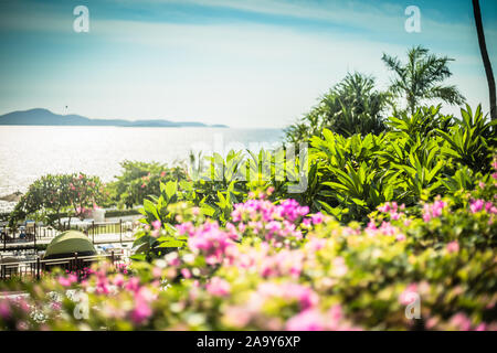 Schöne Landschaft des Meer, Blumen, Palmen auf einem Sommer sonnigen Tag. Stockfoto