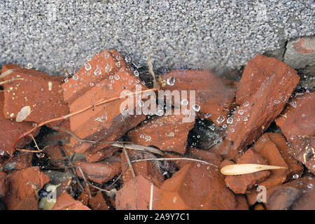 Auf grauem Hintergrund sind Fragmente von Braun Dachziegel mit Spinnweben bedeckt. Tau auf dem Web. Bauschutt im Hof. Stockfoto