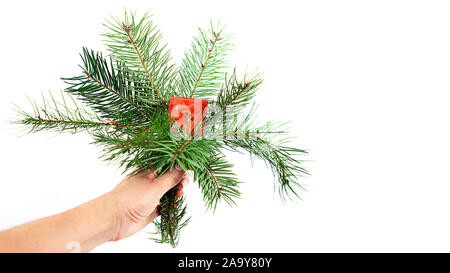 Winterurlaub Blumenstrauß aus Tannenzweigen und roter Geschenkbox in weiblicher Hand, isoliert. Weihnachten, Neujahr kreatives Konzept. Close Up. Stockfoto
