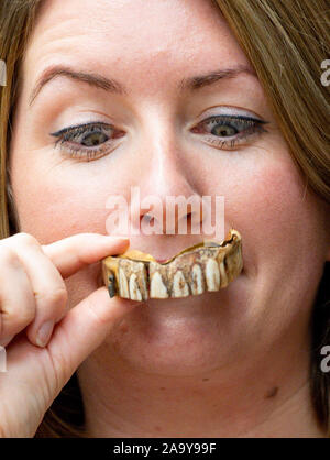 Isabel Murtough, einem Schätzer an Hansons Auktionatoren in Derbsyhire, mit einem 200 Jahre alten Satz von falsche Zähne, von denen erwartet wird, dass sie für bis zu £ 7.000 an der Auktion am 25. November zu verkaufen. Stockfoto