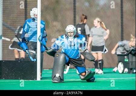 Ein Johns Hopkins University Frauen Hockey goalie erstreckt sich in der Nähe des Net während einer Centennial Conference Halbfinale Spiel mit Gettysburg College, 7. November 2009. Vom Homewood Sammlung Fotografie. () Stockfoto