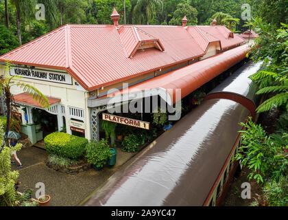 Kuranda im Regenwald Stockfoto