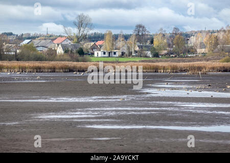 Ein Teich für die Zucht von Fisch ohne Wasser. Der trockene Boden ist mit Rissen bedeckt. Das Dorf im Hintergrund. Fischerei. Podlasien, Polen. Stockfoto