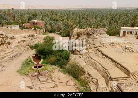 Ägypten, el-El-Wahat Oase Bahariya, Bawiti, gut und Datum palm Plantation/AEGYPTEN, Oase Bahariyya, Bawiti, Brunnen und Dattelpalmen Stockfoto