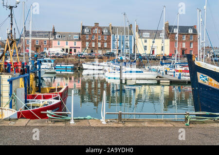 Arbroath Hafen, Boote, Marina, Angus, Schottland Großbritannien Stockfoto