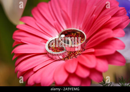 Makro Nahaufnahme der beiden Trauringe in der Mitte der rote Blume Stockfoto