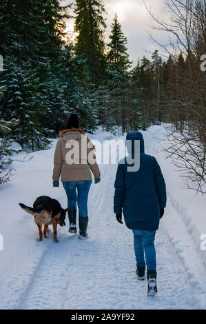 Zwei Mädchen und ein Hund sind zu Fuß in den Winterwald. Der Wandel der Zeit des Jahres, die Ankunft des Frühlings Stimmung fügt dem Spaziergang. Stockfoto