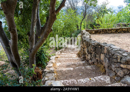 Klettern auf Steintreppe im Wald. Antike alte Steintreppe in den Bergen von Jerusalem in den Wald zu gehen. Stockfoto