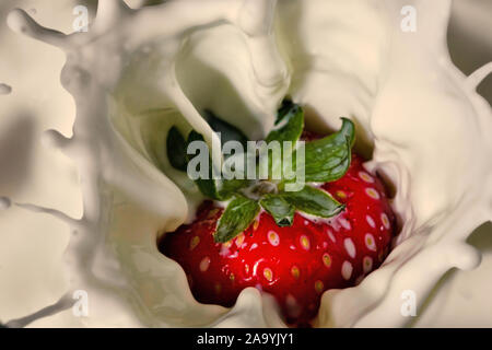 Ansicht schließen auf Erdbeeren mit Milch spritzen. Interessante Zusammenfassung Hintergrund. horizontale Ansicht Stockfoto