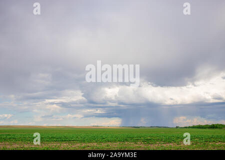 Dunkle Wolken am Himmel mit eingehenden Regen über landwirtschaftliche Felder im Abstand Stockfoto