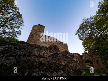 Alte mittelalterliche Höhenburg Bernstein im Elsass. Die Ruinen einer historischen Festung auf einem Felsen gebaut. Frankreich. Stockfoto