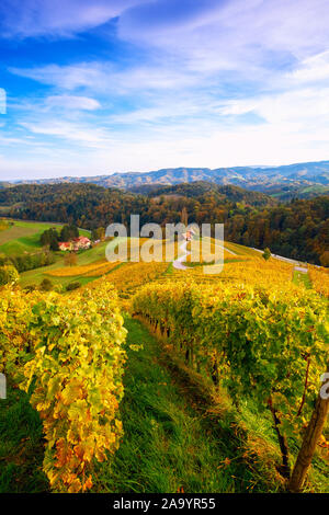 Berühmte herzförmige Wein Straße im Herbst, Ansicht von Spicnik in der Nähe von Maribor in Slowenien. Stockfoto