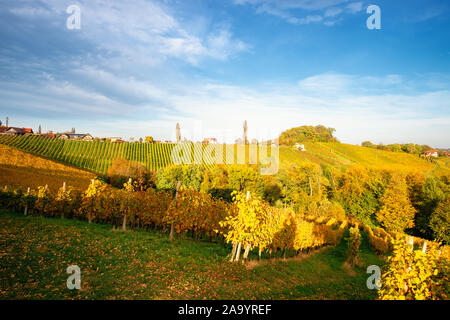 Weinberge im Herbst in Slowenien nahe der Grenze zu Österreich im Süden der Steiermark. Stockfoto