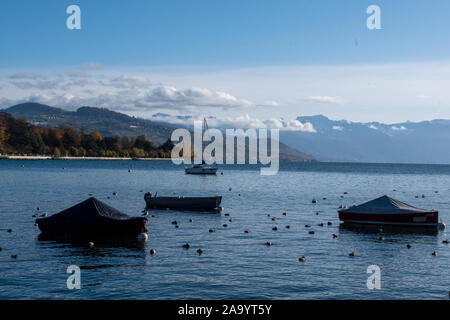 Lavaux von Ouchy, Schweiz Stockfoto