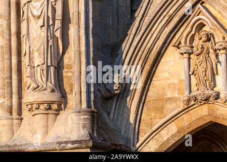 Detail der Fassade mit Wasserspeier in der Kathedrale von Salisbury, Salisbury, Wiltshire, England, Großbritannien Stockfoto