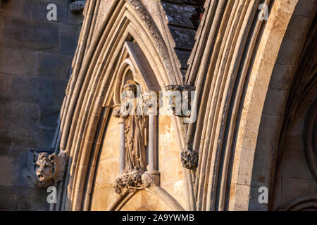 Detail der Fassade mit Wasserspeier in der Kathedrale von Salisbury, Salisbury, Wiltshire, England, Großbritannien Stockfoto