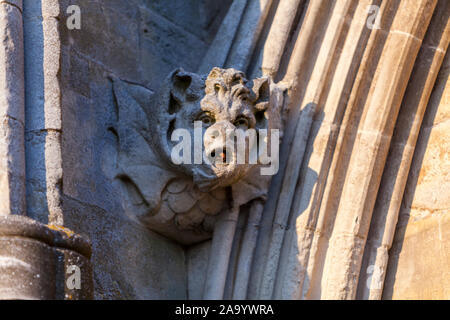 Detail der Fassade mit Wasserspeier in der Kathedrale von Salisbury, Salisbury, Wiltshire, England, Großbritannien Stockfoto