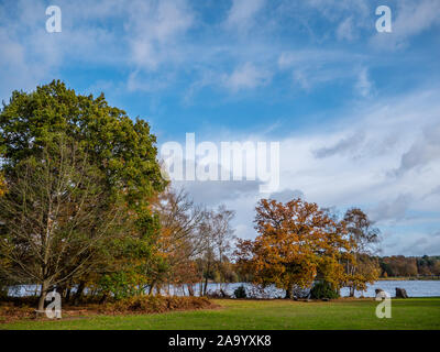 Virginia Water Lake, Virginia Water Gardens, Windsor Great Park, Egham, Surrey, England, UK, GB. Stockfoto