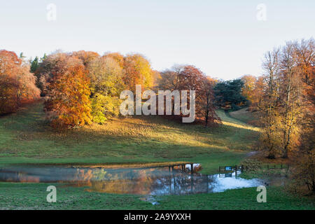 Fagus sylvatica. Herbst Buche und Hochwasser Reflexionen im frühen Herbst Sonnenlicht. Blenheim Park, Oxfordshire, England Stockfoto