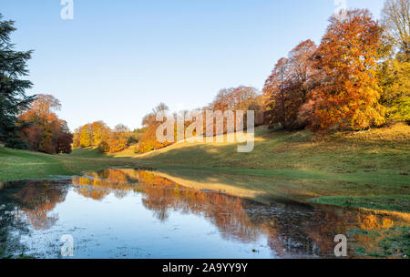 Fagus sylvatica. Herbst Buche und Hochwasser Reflexionen im frühen Herbst Sonnenlicht. Blenheim Park, Oxfordshire, England Stockfoto