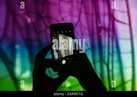 Weibliche Hände mit einem Smartphone unter Bild von Bildschirm Projektion mit Makro Bild von dragonfly wings Stockfoto