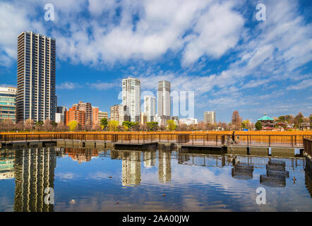 Winter Blick auf Teich Shinobazu in der berühmten Ueno Park, mit getrockneten Lotus Feld und Bentendo Tempel Stockfoto