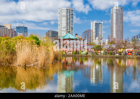 Winter Blick auf Teich Shinobazu in der berühmten Ueno Park, mit getrockneten Lotus Feld und Bentendo Tempel Stockfoto