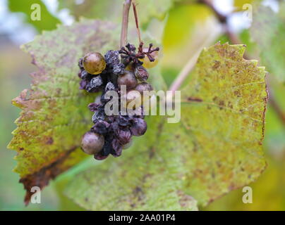 Der Sommer ist vorbei Stockfoto