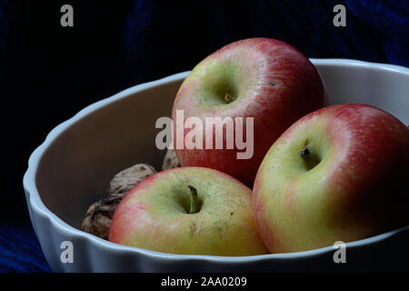 Rote und gelbe kanzi Apple mit ganzen Walnüsse in einem weißen Früchten auf dunkelblauem Hintergrund Stockfoto