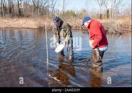 In voller Länge geschossen von Charlie Stine, ein Ökologe an der Johns Hopkins Universität, der Arbeit mit einem Kollegen in Massey Teich, Kent County, Maryland, 22. März 2009. Vom Homewood Sammlung Fotografie. () Stockfoto