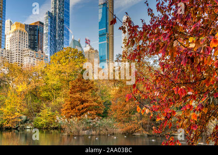 Falllaub, Central Park, Manhattan, New York, USA Stockfoto