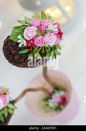 Einen Kaffee Baum. Zierbäume. Formgehölze. Hochzeit Dekoration und Laterne Stockfoto