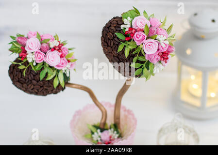 Einen Kaffee Baum. Zierbäume. Formgehölze. Hochzeit Dekoration und Laterne Stockfoto