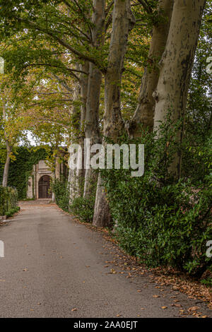 Echte Website von Aranjuez Straße mit alten und belaubten Bäumen Herbst Tag. Gemeinschaft von Madrid Spanien Stockfoto