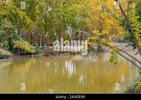 Rückstau auf den Fluss Tejo, wie es durch die Aranjuez Gardens. Gemeinschaft von Madrid, Spanien. Stockfoto
