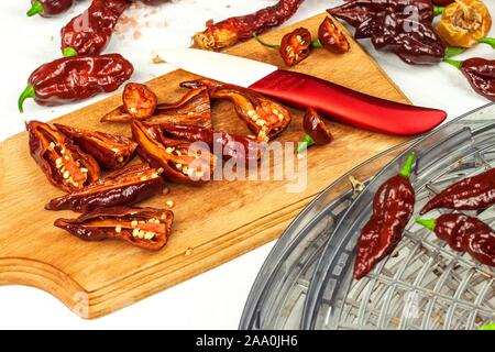 Schneiden extra hot chili peppers (Bhut Jolokia Chocolate). Vorbereitung für das Trocknen. Verkauf von Gewürzen. Gesunde Gewürze. Stockfoto