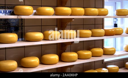 Käse Räder auf das historische Dorf Zaanse Schans in der Nähe von Amsterdam Stockfoto