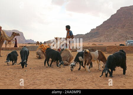Ain Abu Aineh (manchmal fälschlicherweise als Lawrence Spring dargestellt), Wadi Rum Protected Area, Gouvernement Aqaba, Jordanien, Naher Osten Stockfoto