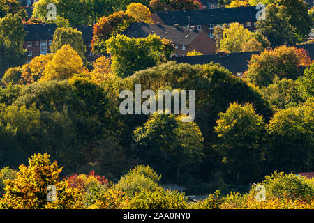 Schöne Aussicht über Herbst farbige Bäume in einer Wohnsiedlung im Ruhrgebiet Stockfoto