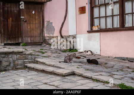 Stadt Veliko Tarnovo, Bulgarien - 24. März 2017. Traditionelle bulgarische Architektur in der alten mittelalterlichen Stadt, Veliko Tarnovo, Bulgarien Stockfoto