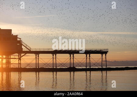 Aberystwyth, Wales, UK. Nov, 2019 18. Eine herrliche warme Winter tag auf der West Wales Küste, Sonnenuntergang bringt in einem murmuration Tausende von Staren in der Abenddämmerung von der Fütterung Felder um die walisische Küste auf der eisernen Beine der viktorianischen Badeort Pier zum roost. Credit: Mike Davies/Alamy leben Nachrichten Stockfoto