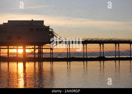 Aberystwyth, Wales, UK. Nov, 2019 18. Eine herrliche warme Winter tag auf der West Wales Küste, Sonnenuntergang bringt in einem murmuration Tausende von Staren in der Abenddämmerung von der Fütterung Felder um die walisische Küste auf der eisernen Beine der viktorianischen Badeort Pier zum roost. Credit: Mike Davies/Alamy leben Nachrichten Stockfoto