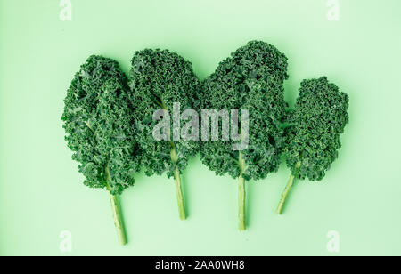 Grünkohl Blatt auf weißen bunten Hintergrund Stockfoto
